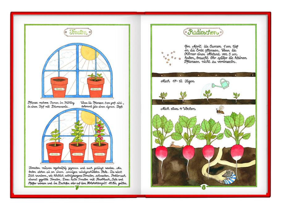 Das große Buch für kleine Gärtner Höhenflug Medien für Kinder